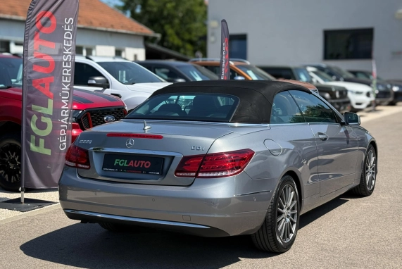 Mercedes-benz E 220 (2013)
