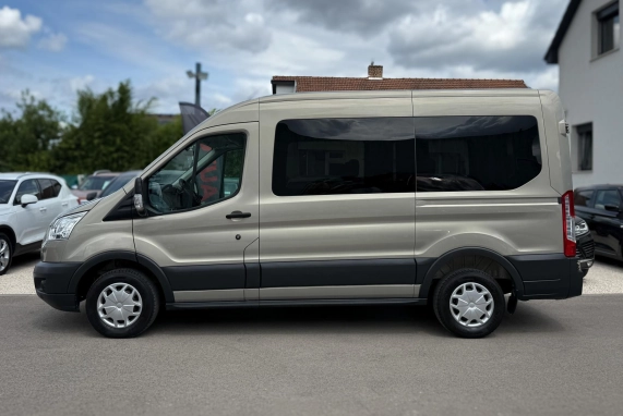 Ford TRANSIT (2017)