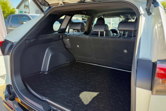 Toyota RAV 4 (2020)
